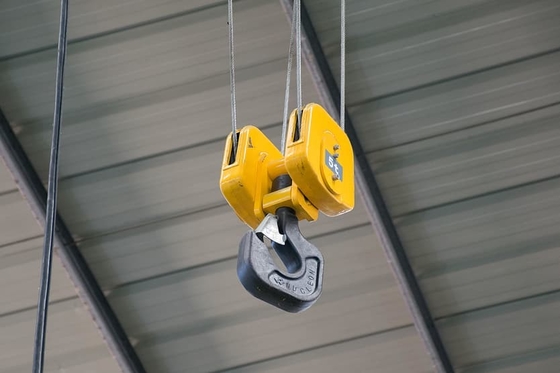 Deber de Crane Forging Hook Block Heavy 30 toneladas